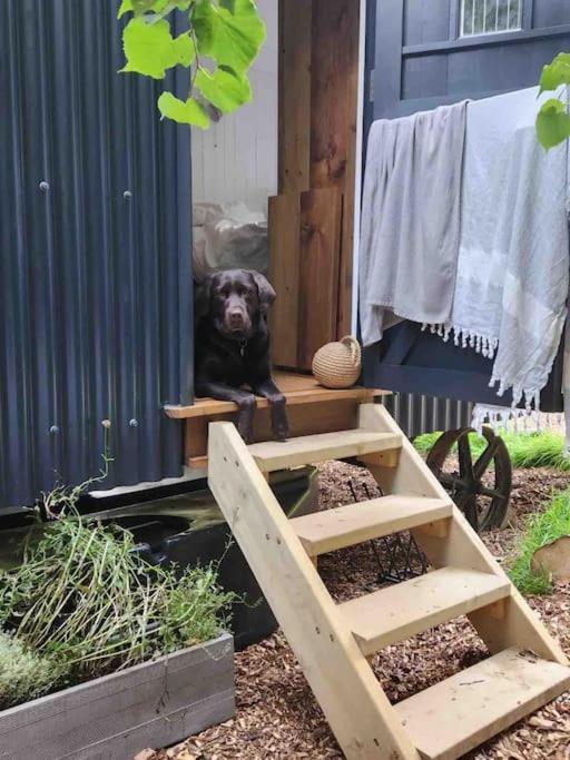 Cornwall Woodland Shepherd'S Hut Deirdres Hut Bodmin Exterior foto