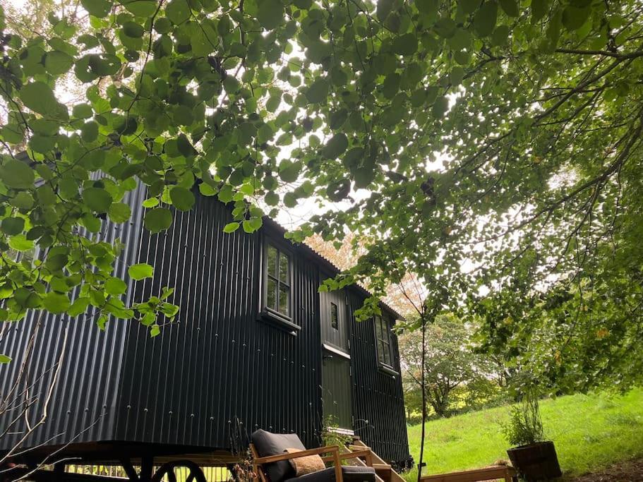 Cornwall Woodland Shepherd'S Hut Deirdres Hut Bodmin Exterior foto