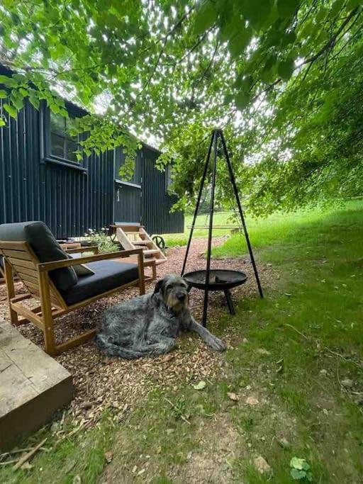 Cornwall Woodland Shepherd'S Hut Deirdres Hut Bodmin Exterior foto