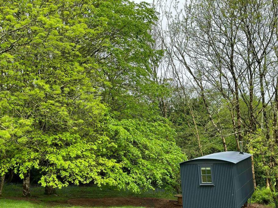 Cornwall Woodland Shepherd'S Hut Deirdres Hut Bodmin Exterior foto